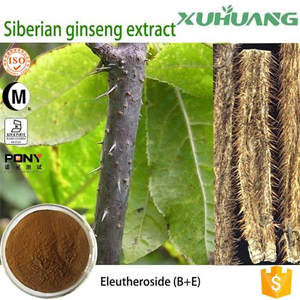 Siberian Ginseng Extract Powder bulk- xuhuang.jpg
