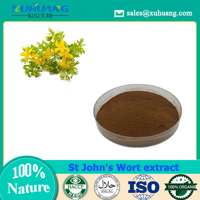St John's Wort Extract