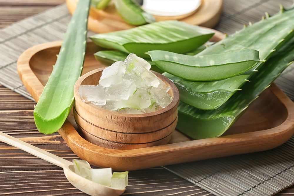 The role of aloe vera powder for our health