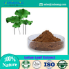 Lotus Leaf Extract 