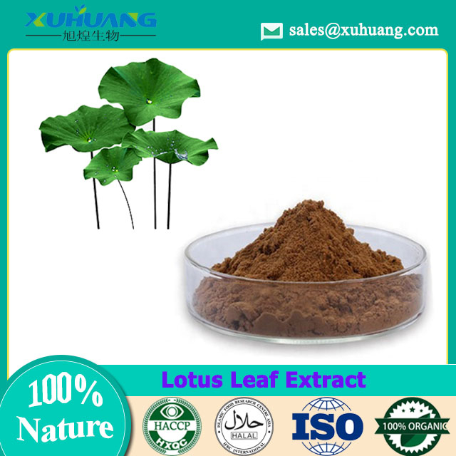 Lotus Leaf Extract 