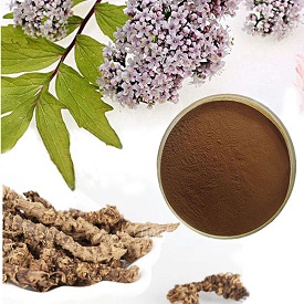 What is Valerian (herb) extract?