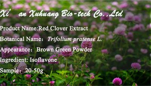 red clover leaf extract suppliers - xuhuang.jpg