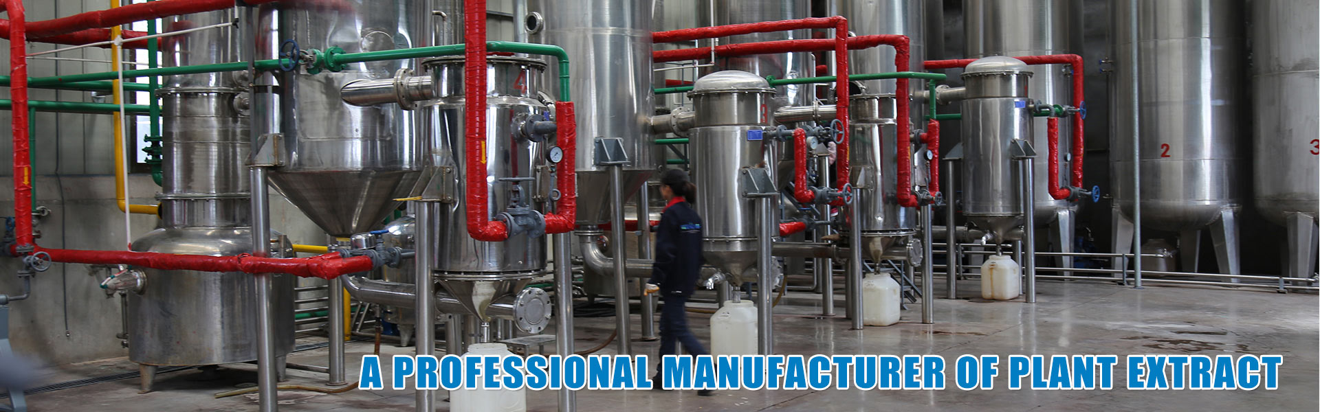 A Professional Manufacturer Of Plant Extract-xuhuang