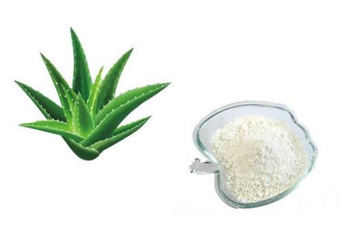  The function of the aloe vera gel freeze-dried powder