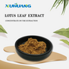 Lotus Leaf Extract Powder