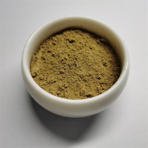 Introduction and Efficacy of Cnidium Extract