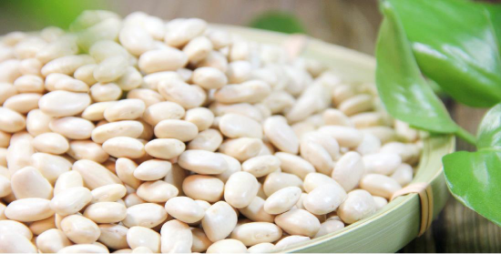 White kidney bean extract: weight loss benefits