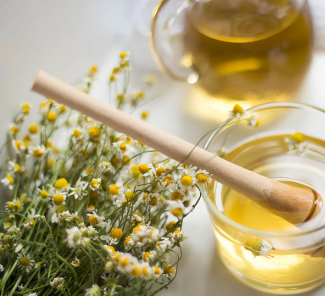 Chamomile and Species