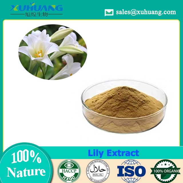 Lily Extract