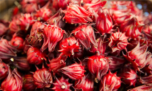 The advantages of roselle extract