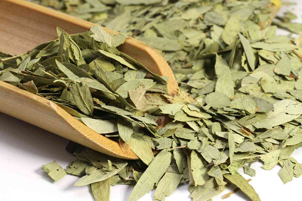 does senna leaf extract work