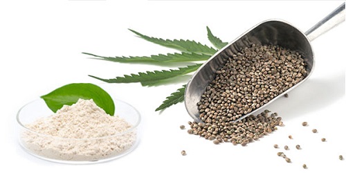 Hemp seed's efficacy and functions