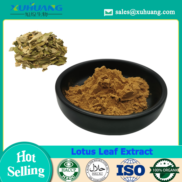 Lotus Leaf Extract Powder