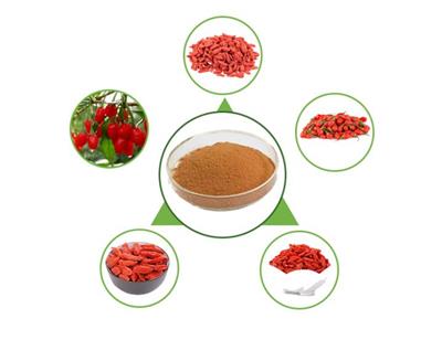 Pharmacological effects of wolfberry extract