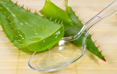 What are the side effects and contraindications of aloe vera