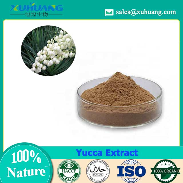  Yucca Extract