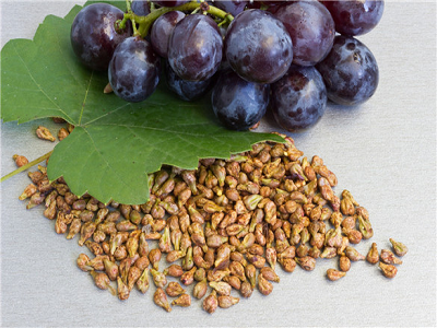 Grape Seed Extract Powder Benefits for Beauty 
