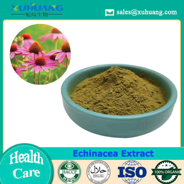 Echinacea Purpurea Extract Powder