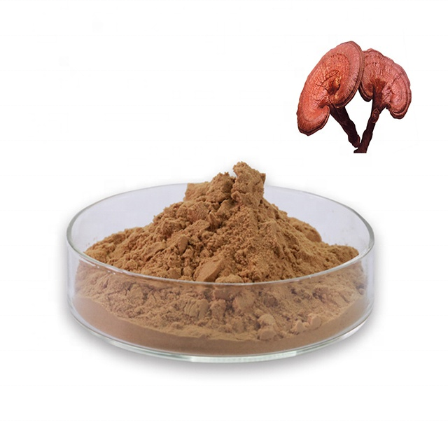 buy best Ganoderma lucidum extract - xuhuang