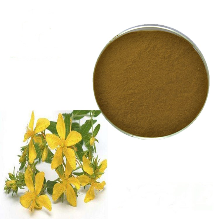 St John's Wort Extract
