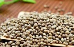 Is hemp seed extract good for hair?